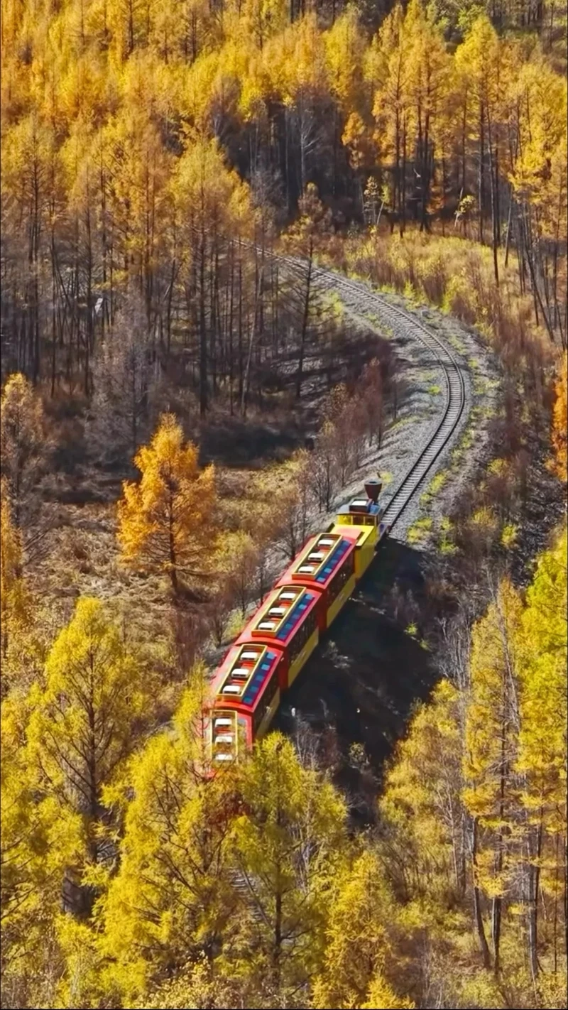 Cuộc sống tự do trong phong cảnh Mông Cổ du mục