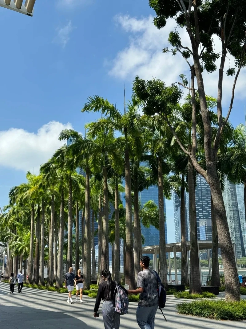 Bộ sưu tập phong cảnh Singapore hình nền cực chất cho màn hình