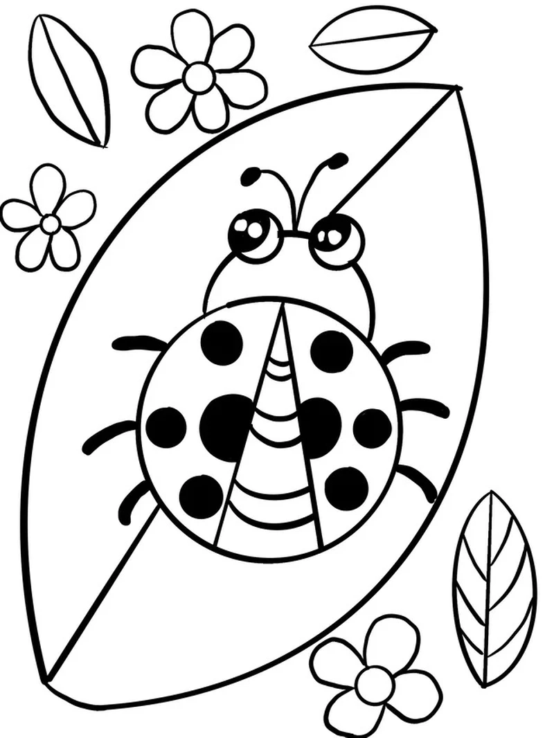 Tuyển tập hình tô màu bọ rùa cho bé cực đáng yêu