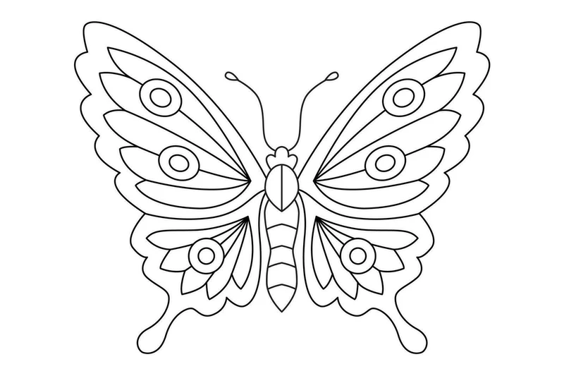 Bộ tranh tô màu bướm nghệ thuật giúp bé sáng tạo màu sắc