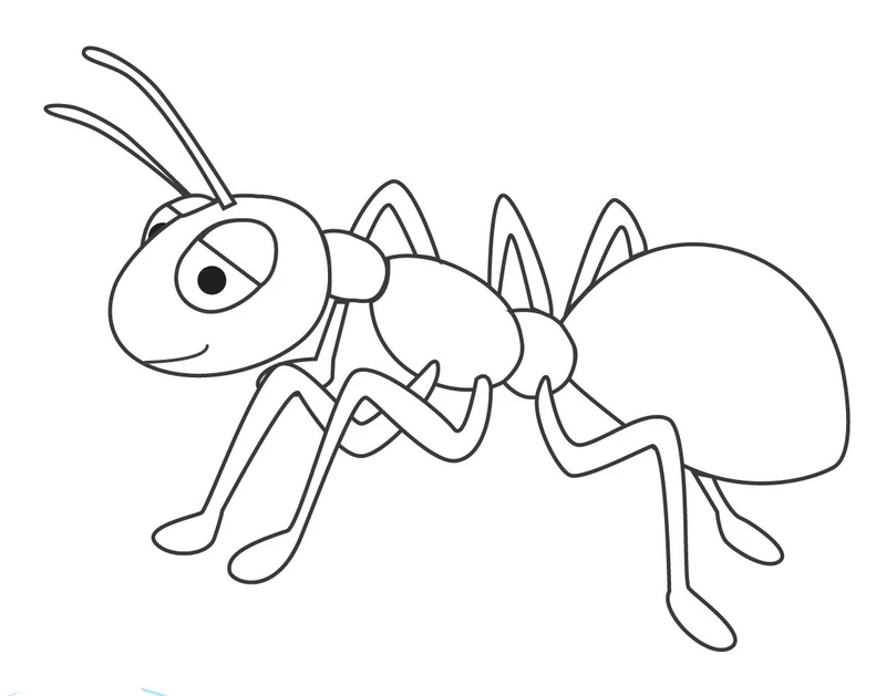 Bộ hình vẽ con kiến tô màu đơn giản cho bé sáng tạo