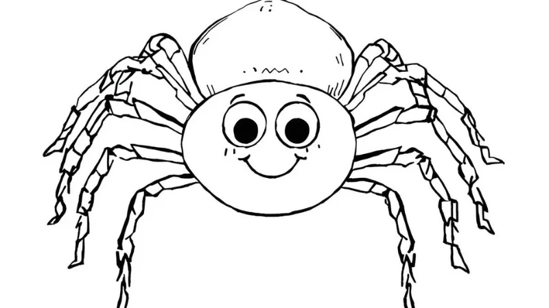 Chủ đề lễ hội với tranh tô màu nhện halloween độc đáo