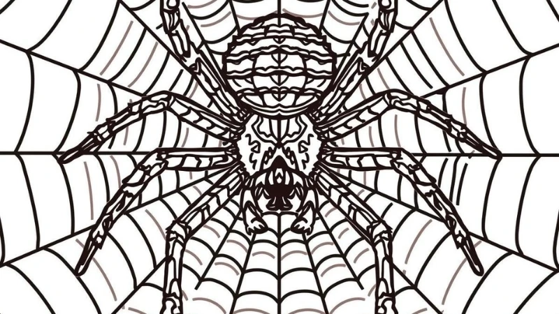 Bé luyện tô mỗi ngày với tranh tô màu nhện cho bé tập tô