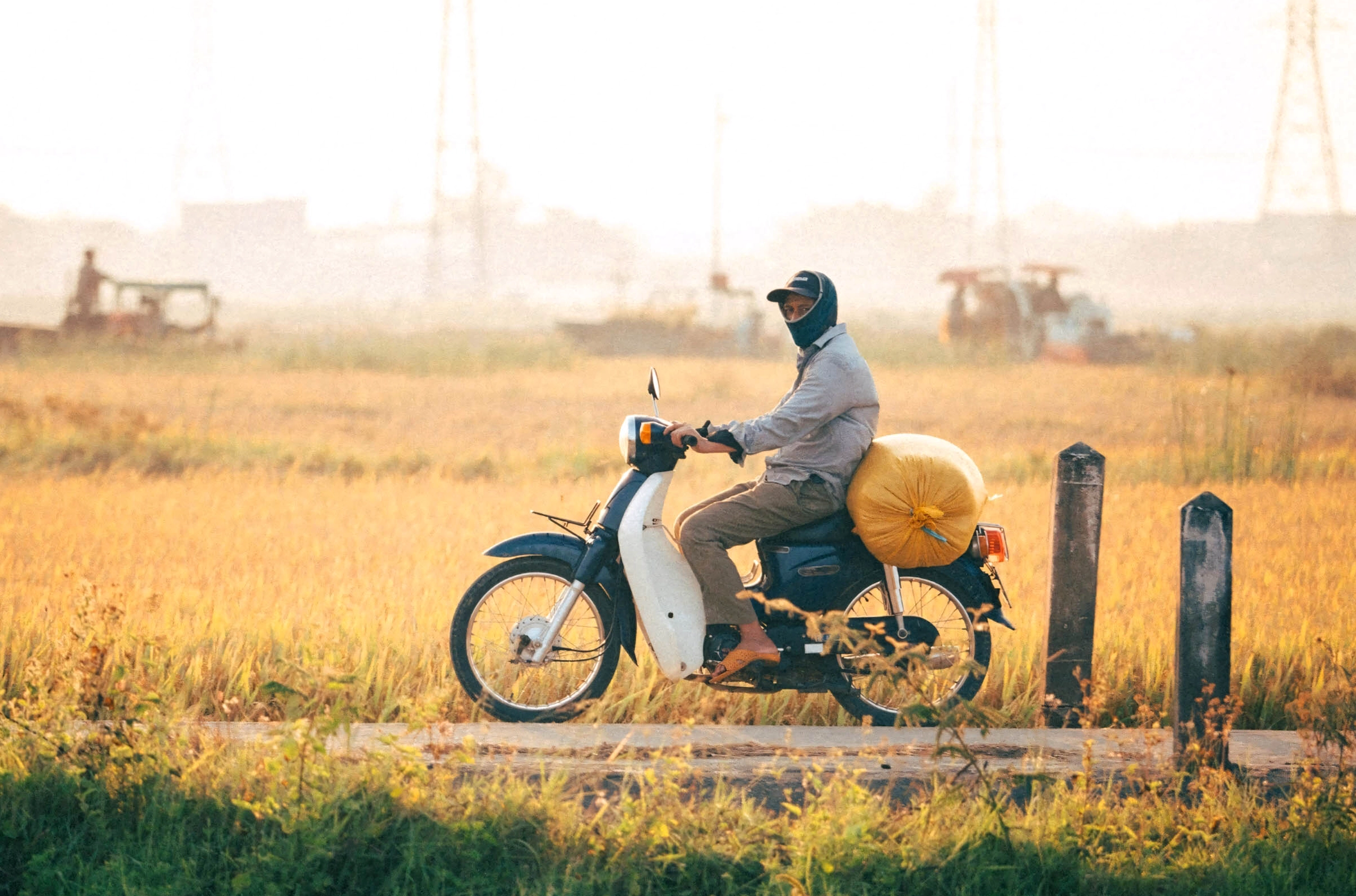 Ánh sáng lãng mạn bao trùm cánh đồng rộng lớn