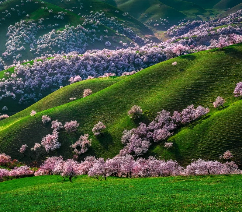 Bầu trời rực lửa phía sau tòa tháp khổng lồ