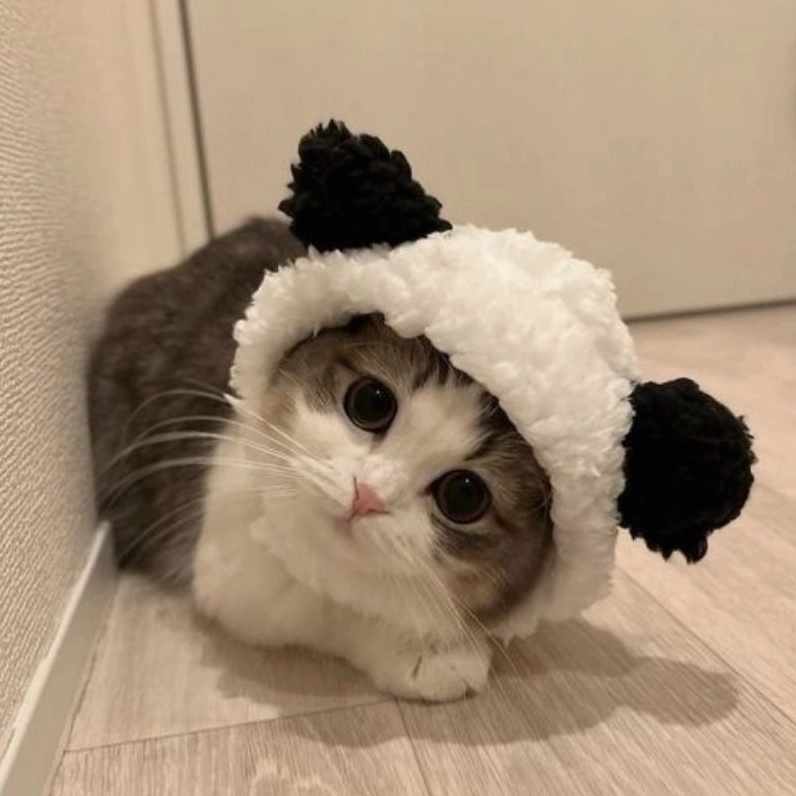 Bộ sưu tập chibi cute mèo cực kỳ dễ thương