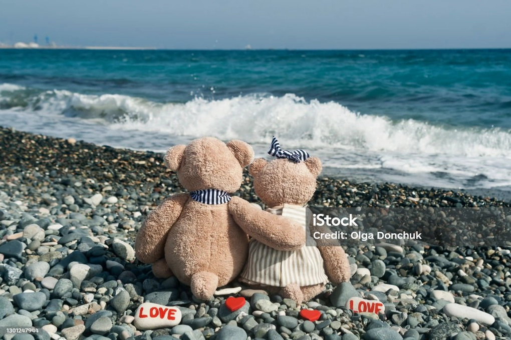 Bức ảnh cặp đôi gấu teddy thể hiện tình yêu trên bãi biển đá xúc động