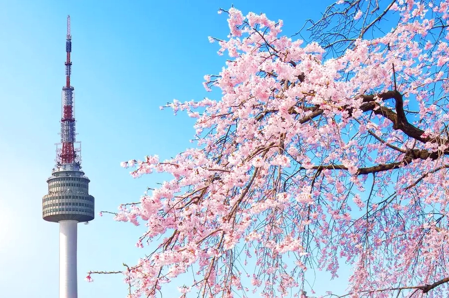 Bức ảnh N Seoul Tower chụp từ một góc độ nghiêng đầy nghệ thuật