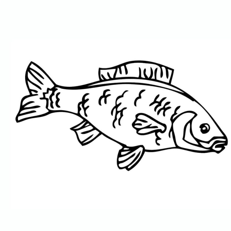 Bức tranh tô màu cá chép có vảy hoa văn đẹp