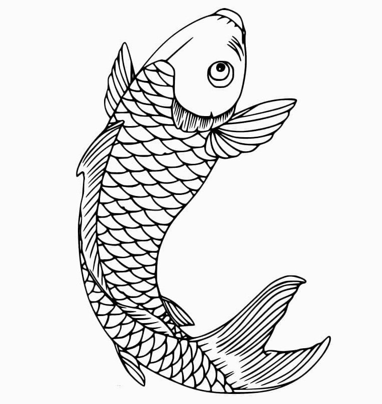 Bức tranh tô màu cá chép đẹp lung linh với nhiều chi tiết vảy cá