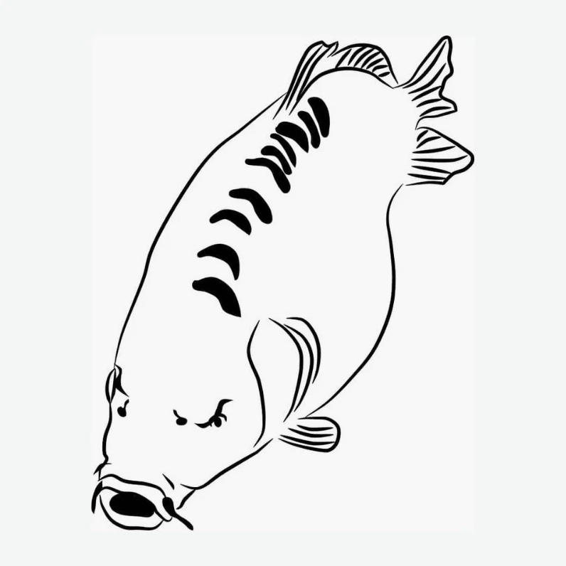 Bức tranh tô màu cá chép vẫy vùng sống động