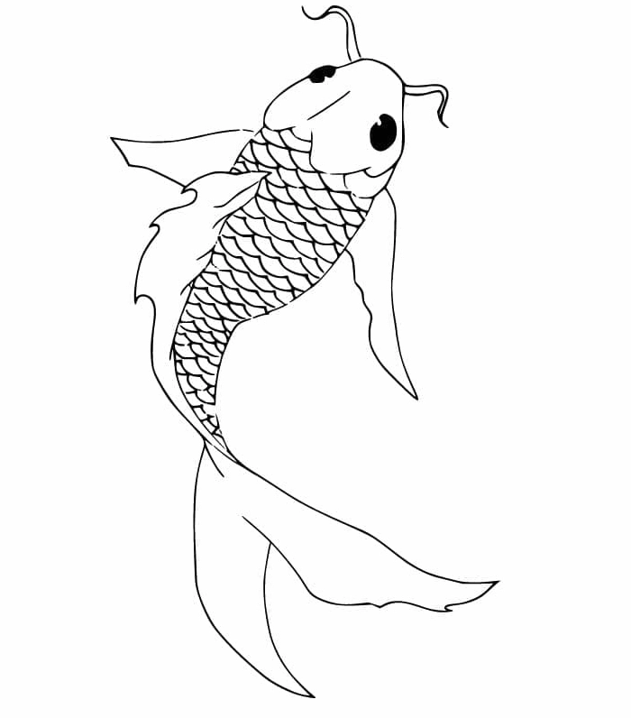 Bức tranh tô màu con cá chép với nét vẽ đẹp tinh tế