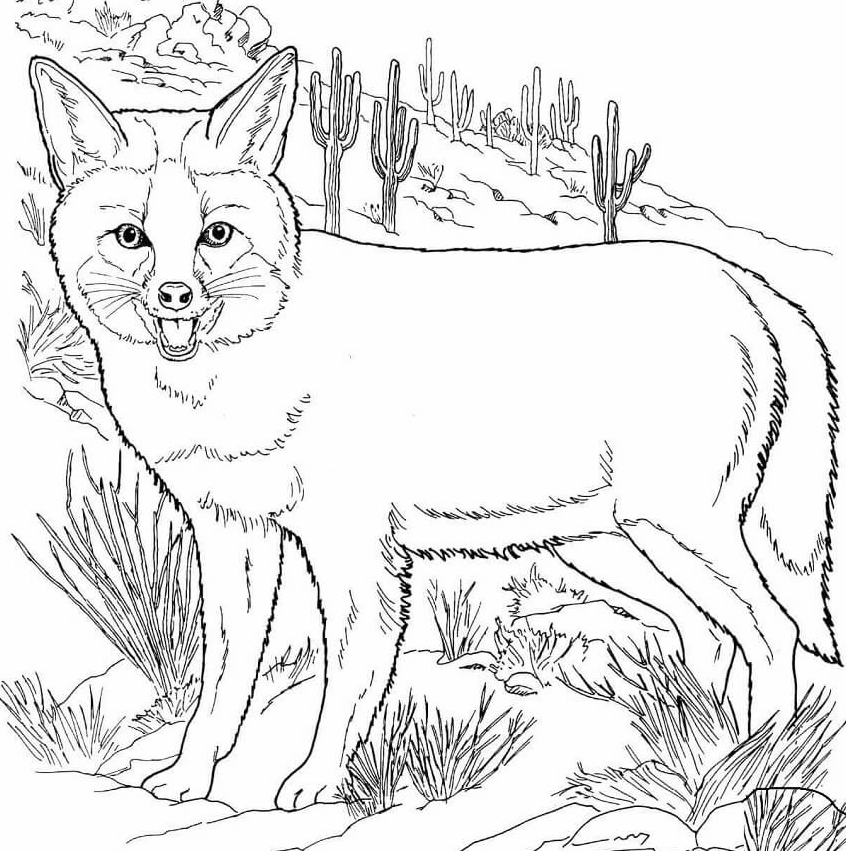 Bức tranh tô màu con cáo đồng cỏ vui nhộn