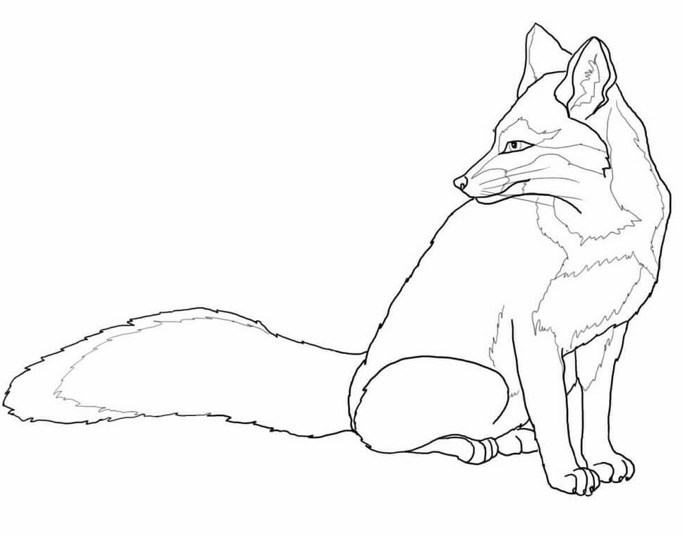 Bức tranh tô màu con cáo nhìn về sau tò mò