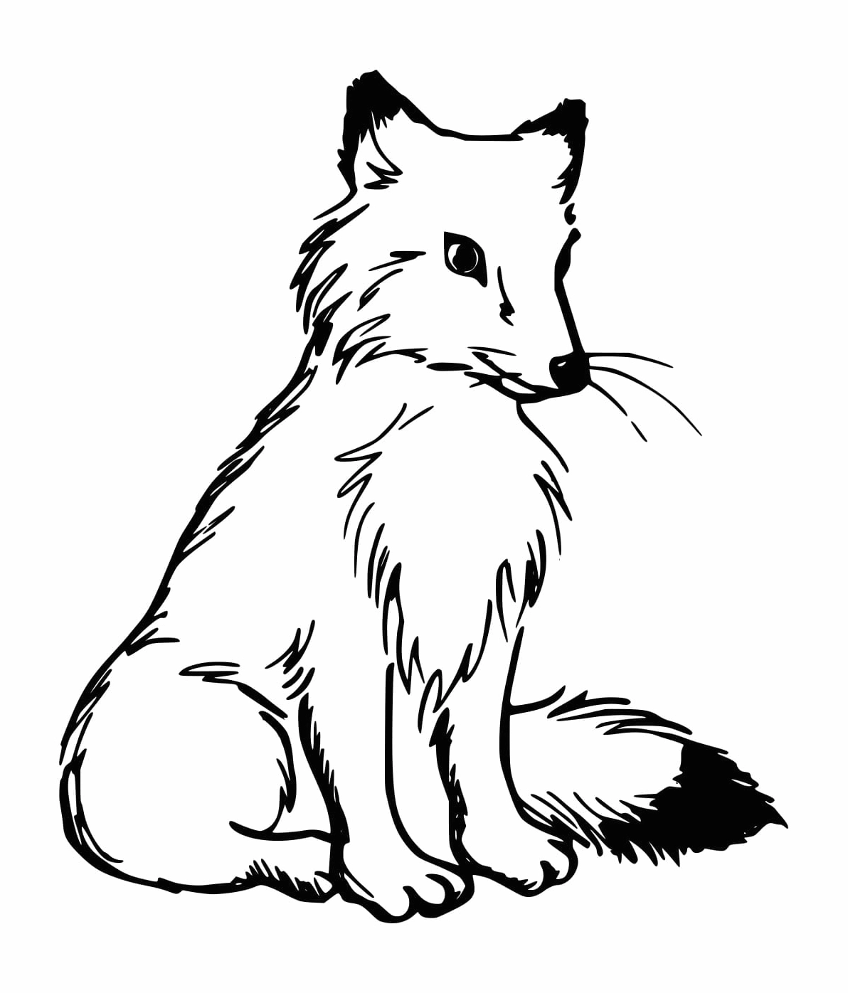 Bức tranh tô màu con cáo nhỏ xíu đáng yêu