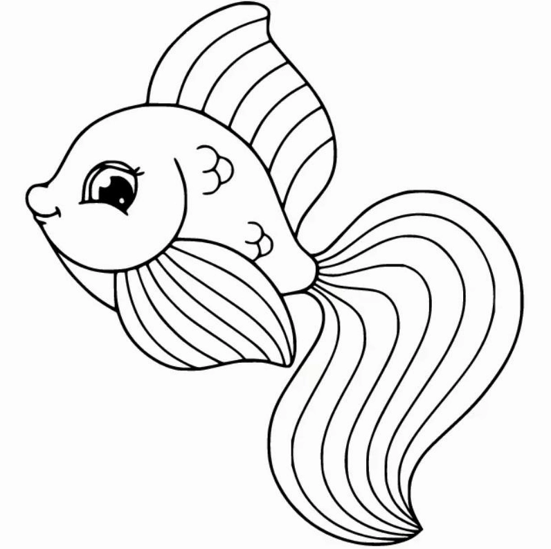 cá vàng tranh tô màu con cá chép béo tròn ngộ nghĩnh