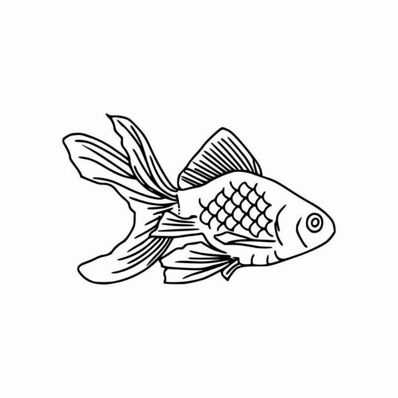 cá vàng tranh tô màu con cá chép vui nhộn