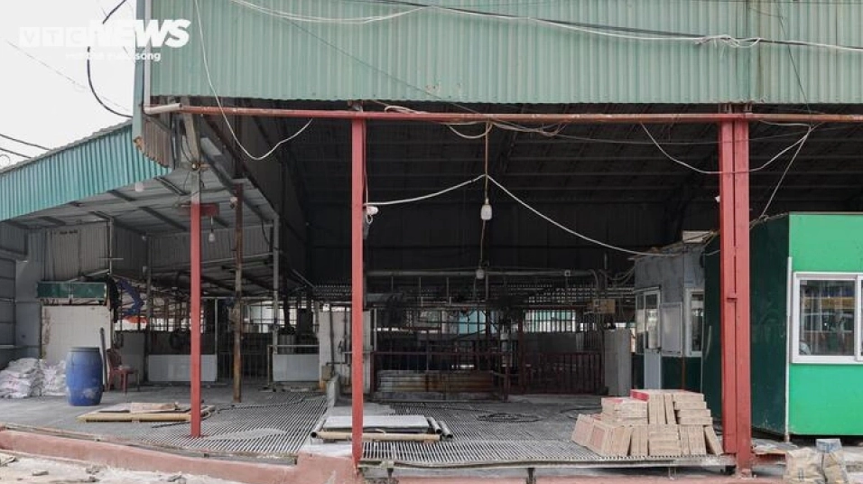 Cận cảnh lò mổ