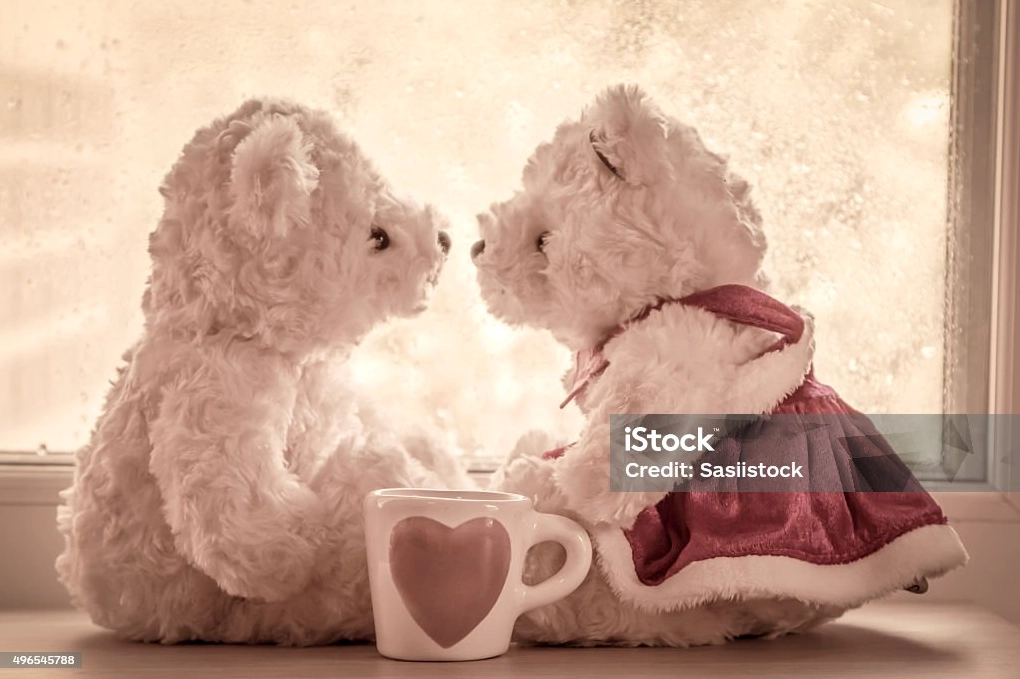 Cặp gấu bông dễ thương chìm đắm trong tình yêu lãng mạn