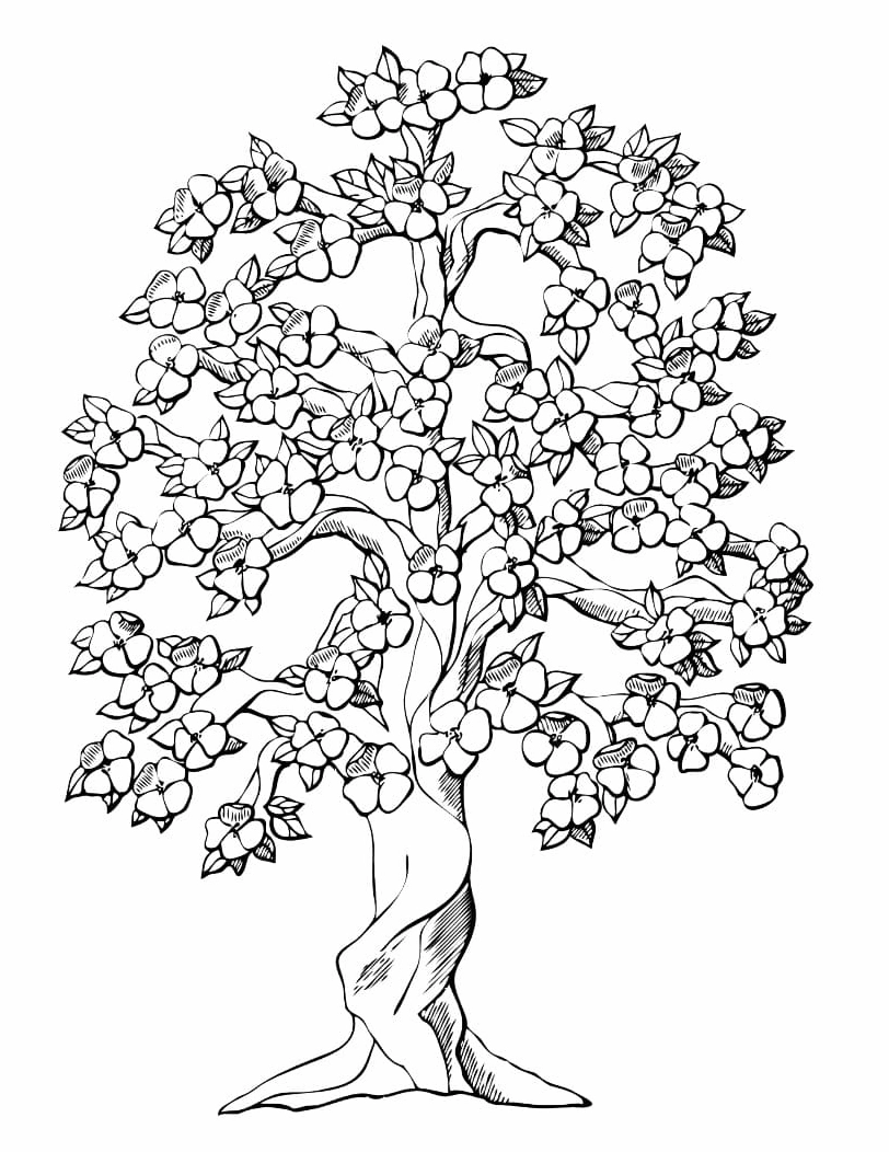 Cây hoa mai đẹp rực rỡ