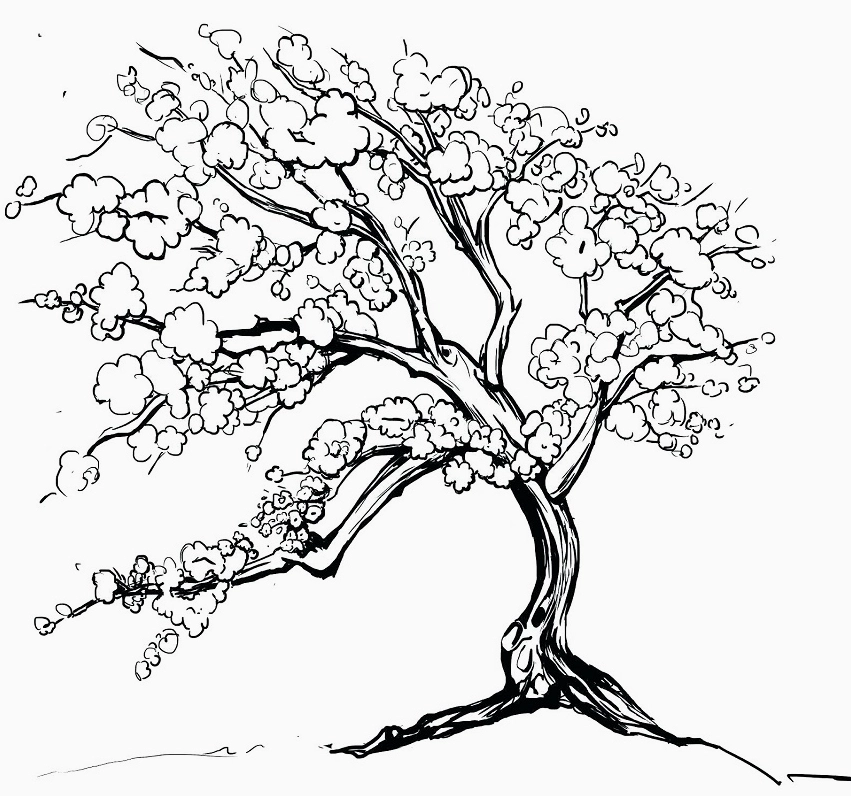 Cây Mai Ngày Tết Cổ Truyền