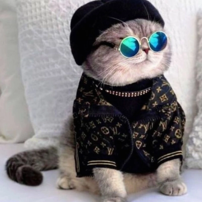 Chiêm ngưỡng hình ảnh chibi mèo siêu cưng