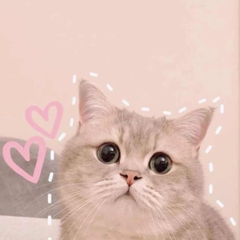 Cười xỉu với mèo béo chibi bụ bẫm đáng yêu