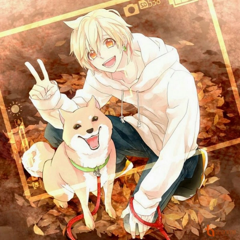 Dành cho fan hâm mộ anime và yêu chó đáng yêu Chúng tôi sẽ giới thiệu với bạn những bức ảnh chó anime đáng yêu và dễ thương để bạn tha hồ thưởng thức