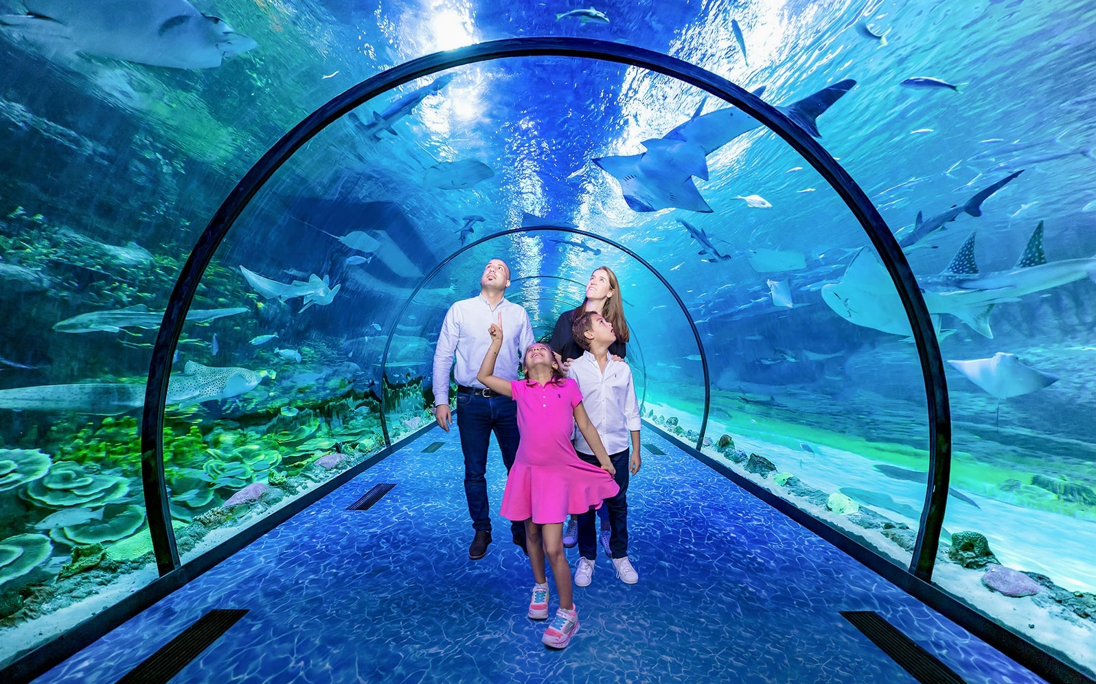 Gia đình khám phá đường hầm dưới nước