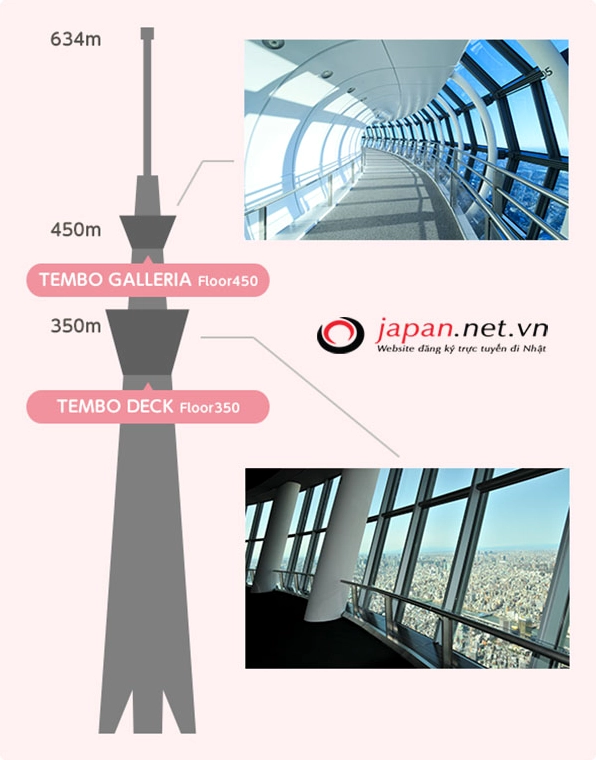 Góc chụp từ dưới lên tôn lên chiều cao kỷ lục của Tokyo Skytree