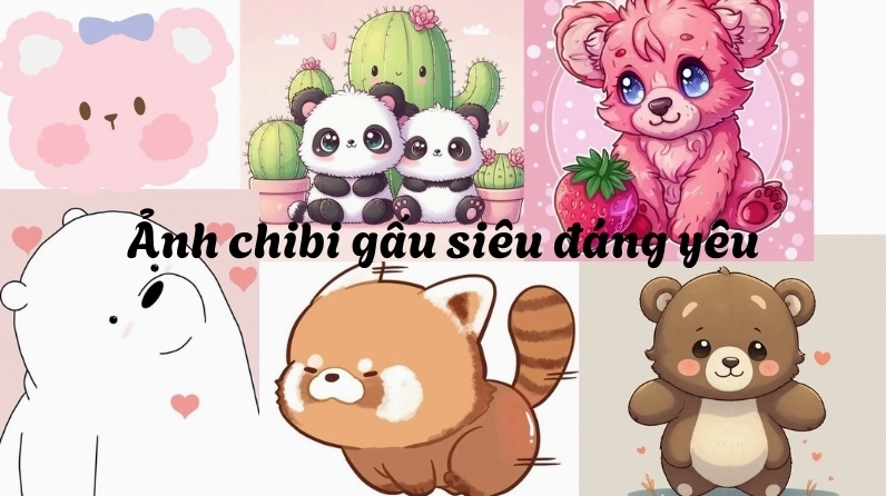 Hình ảnh chibi gấu là gì
