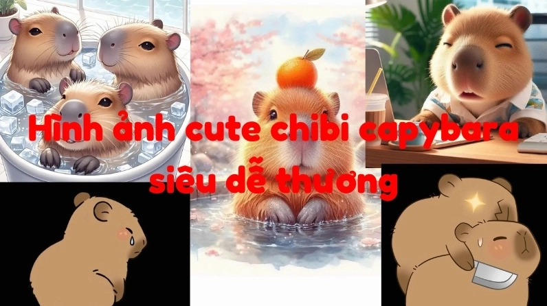 Hình ảnh cute chibi capybara cực kỳ thu hút