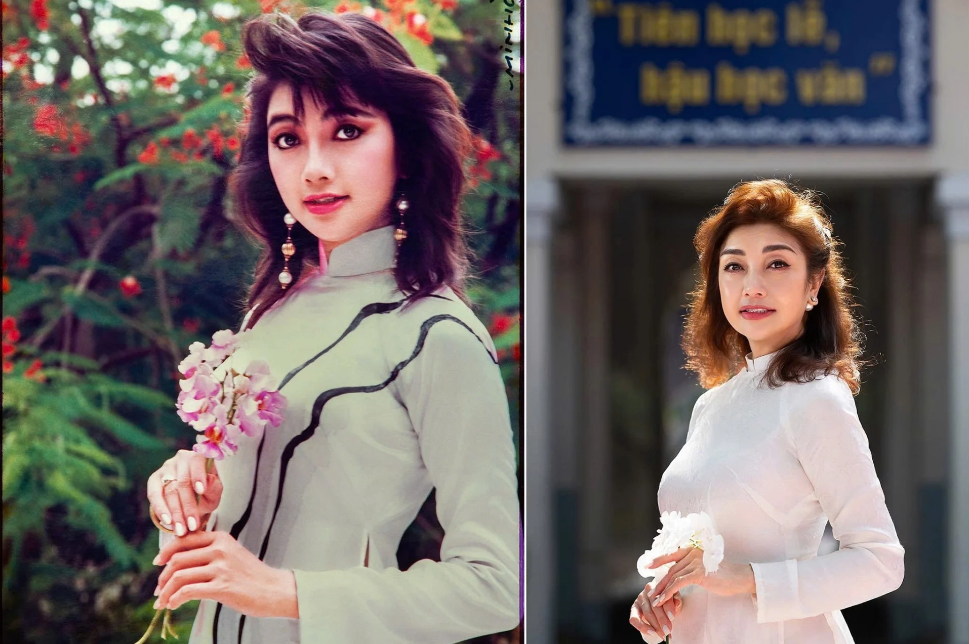 Hình ảnh đẹp của hoa hậu