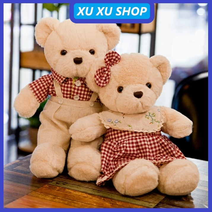 Hình ảnh hai chú gấu Teddy mini cặp đôi tình cảm và dễ thương