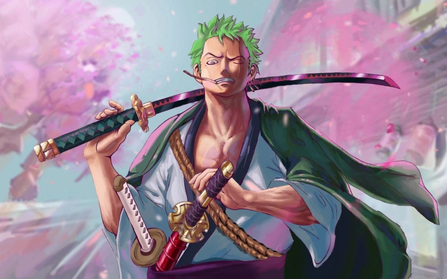 Hình ảnh zoro đang trong thế tấn công