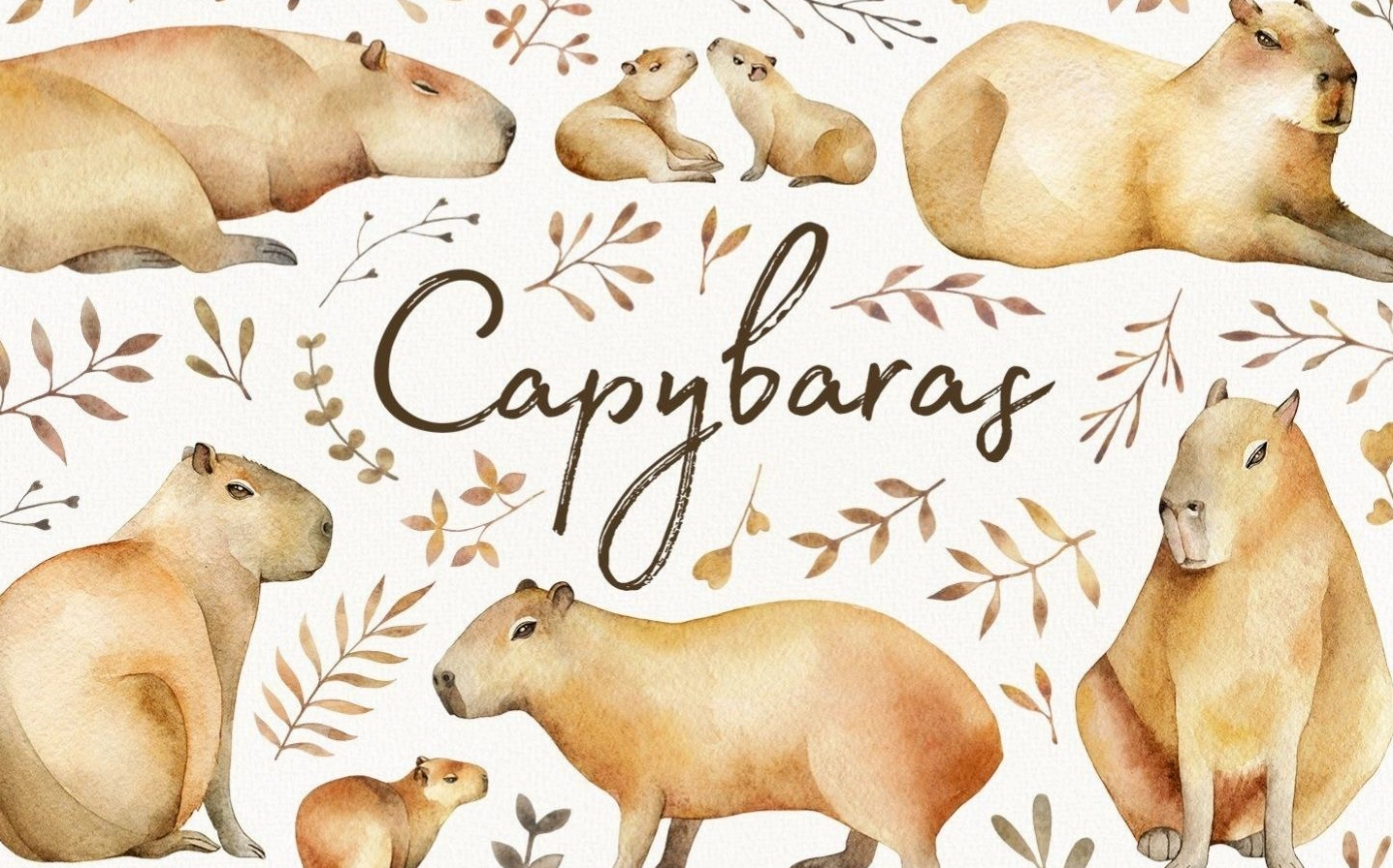 Hình nền Capybara dễ thương và siêu đáng yêu sắc nét