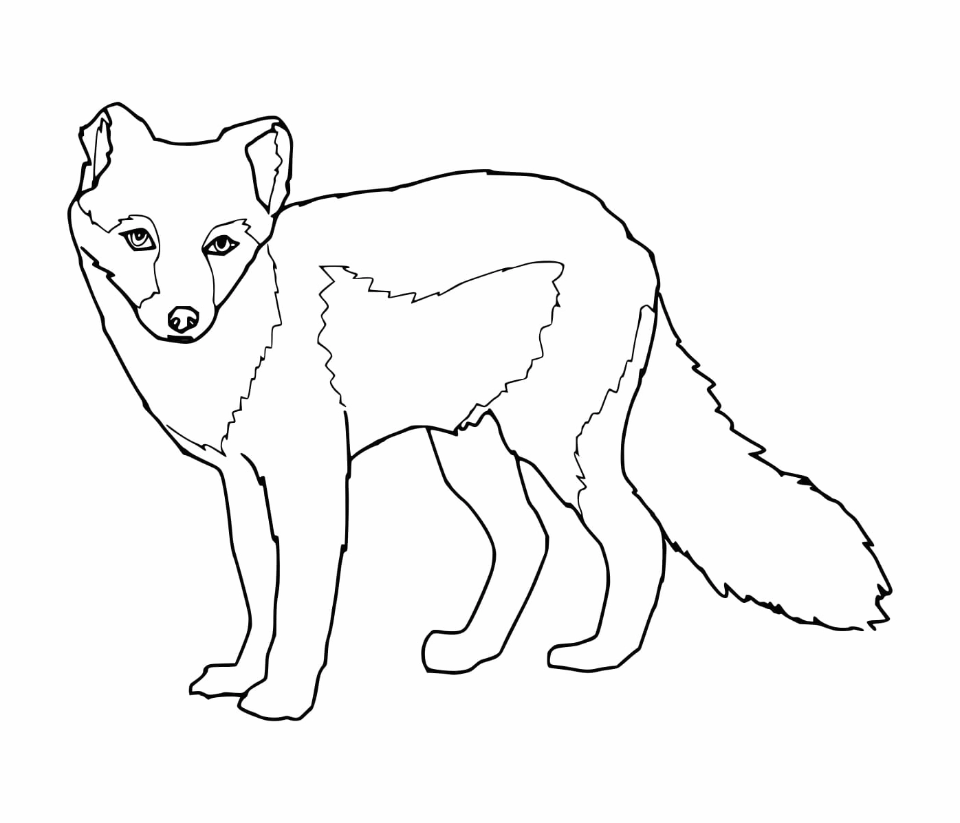 Hình tô màu con cáo đơn giản cho bé tập tô