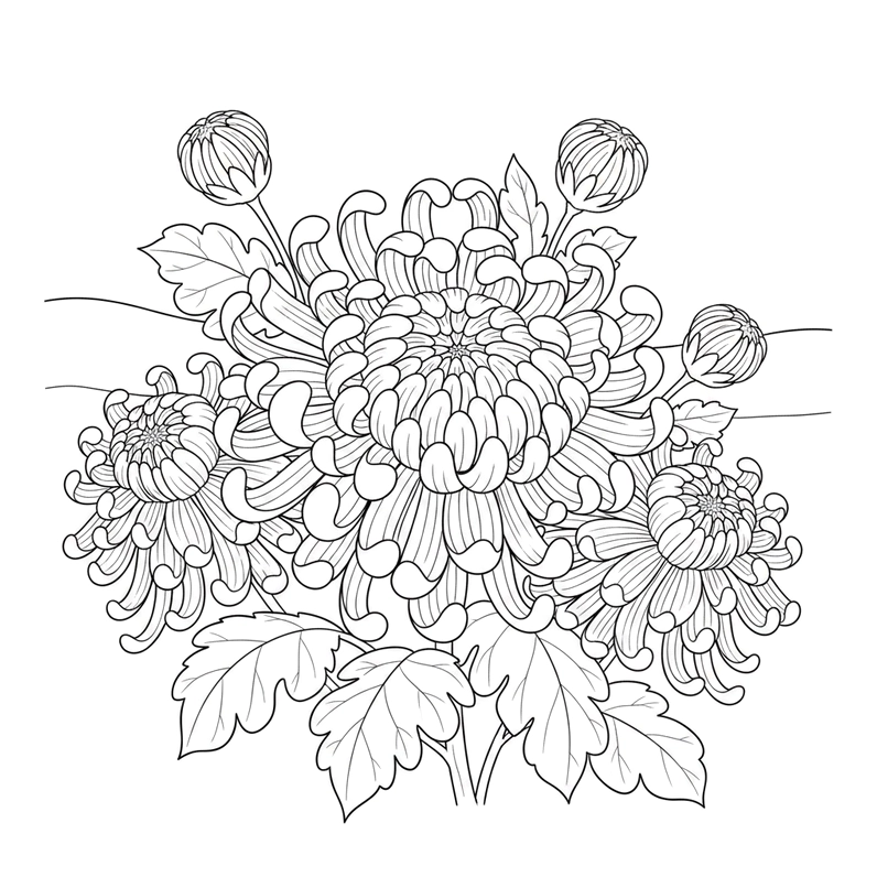 Hình tô màu hoa cúc phù hợp cho trẻ nhỏ