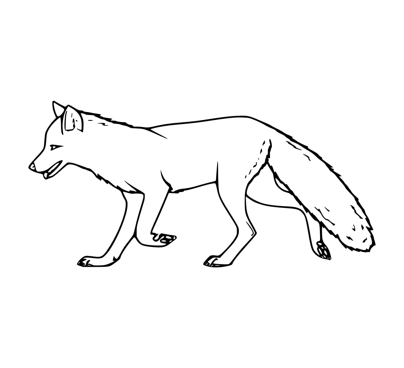 Hình tranh tô màu con cáo Darwin quý hiếm