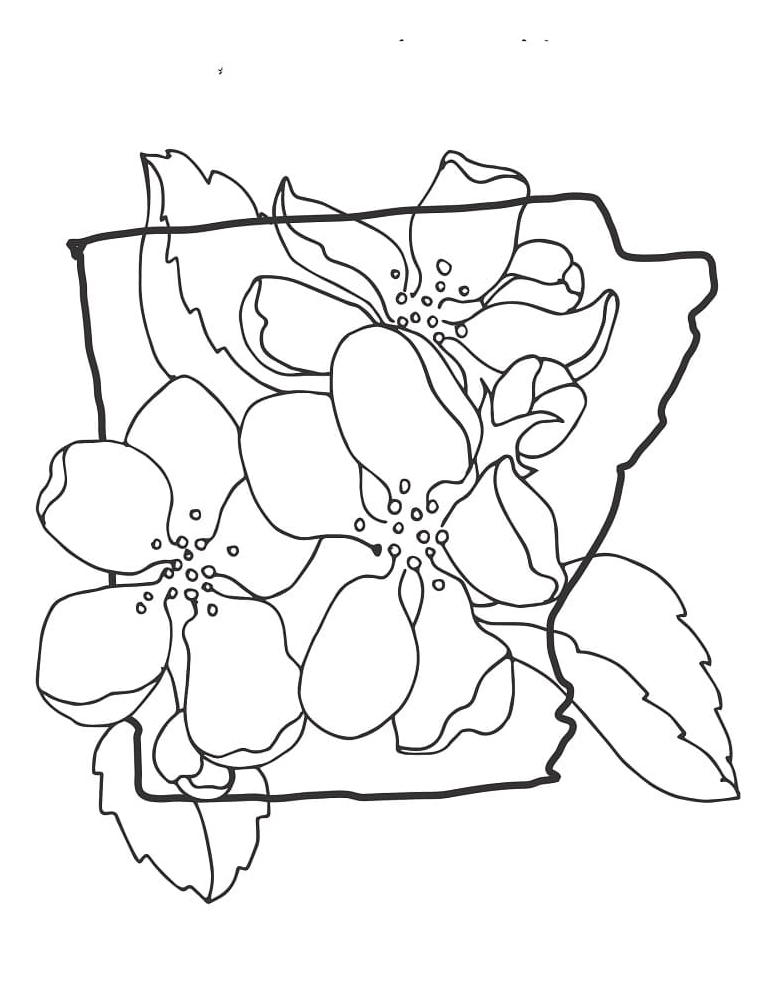 Hoa mai đẹp nhất cho bé tô màu