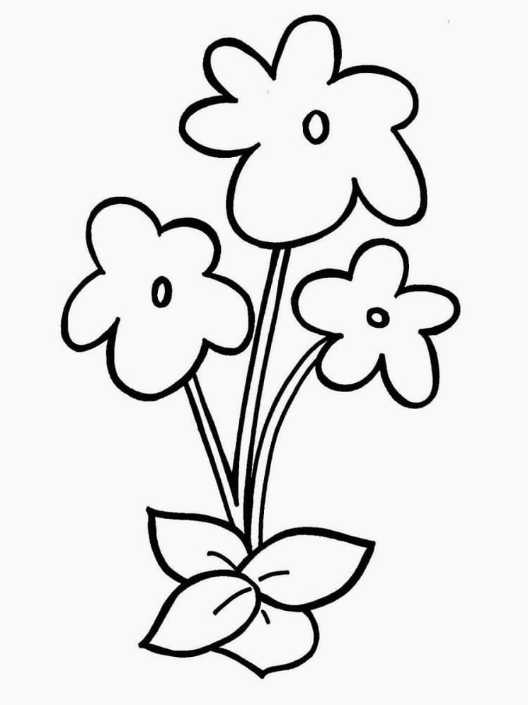 Hoa mai đơn giản cho bé tập tô