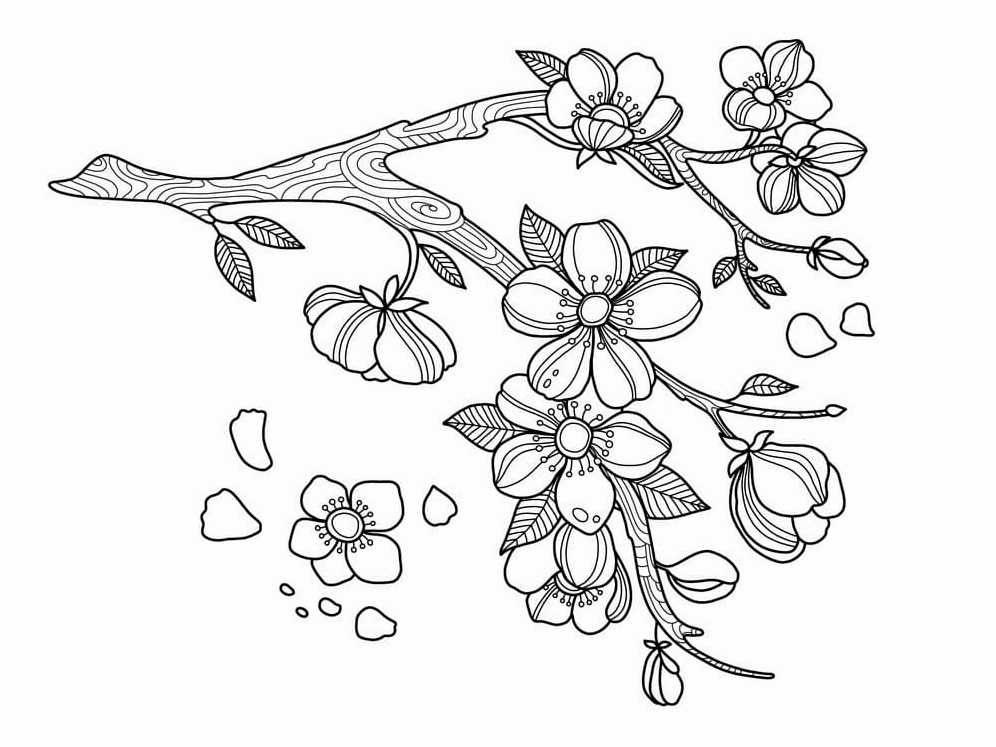 Hoa mai mùa xuân rực rỡ