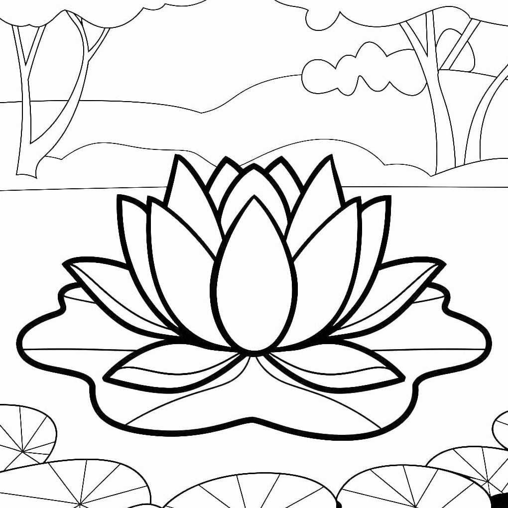 Hoa sen lớn trên lá xanh biếc trong tranh tô màu