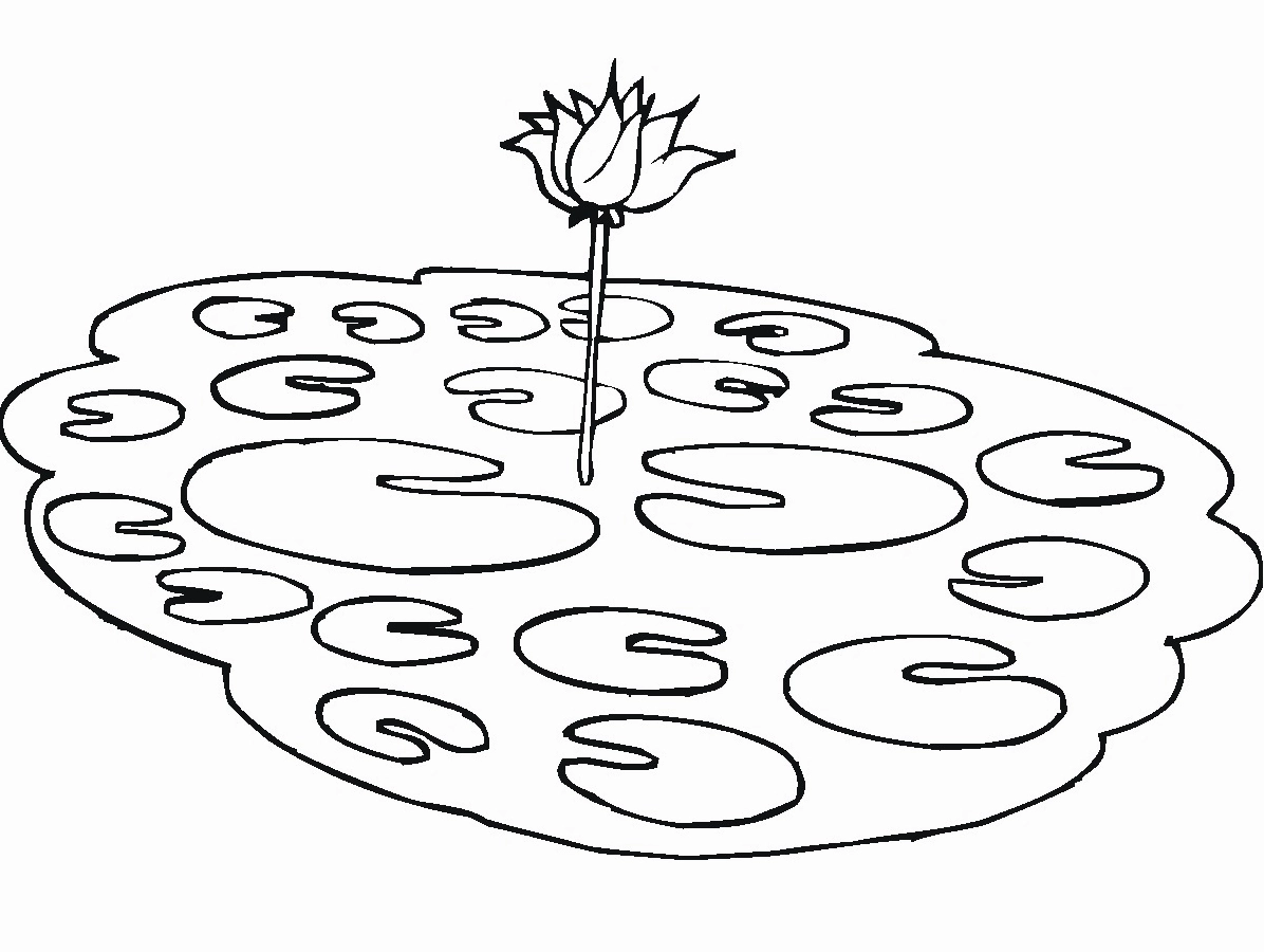 Hoa sen trong ao qua lăng kính tranh tô màu