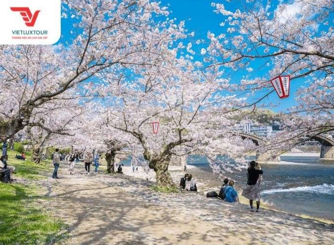 Không gian xanh mát rộng lớn của Công viên Ueno một điểm đến nổi tiếng ở Tokyo