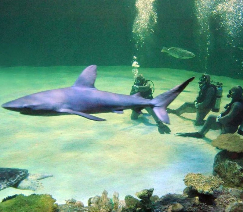 Khung cảnh buổi sáng yên bình hiếm hoi trước khi thành phố thức giấc hoàn toàn