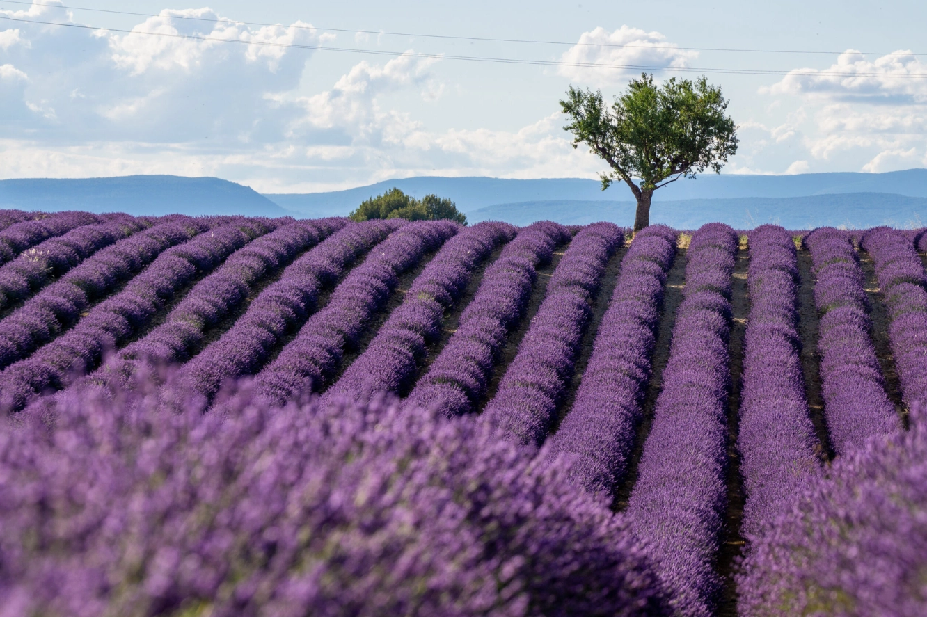 Màu sắc hoàng hôn rực rỡ bao phủ không gian