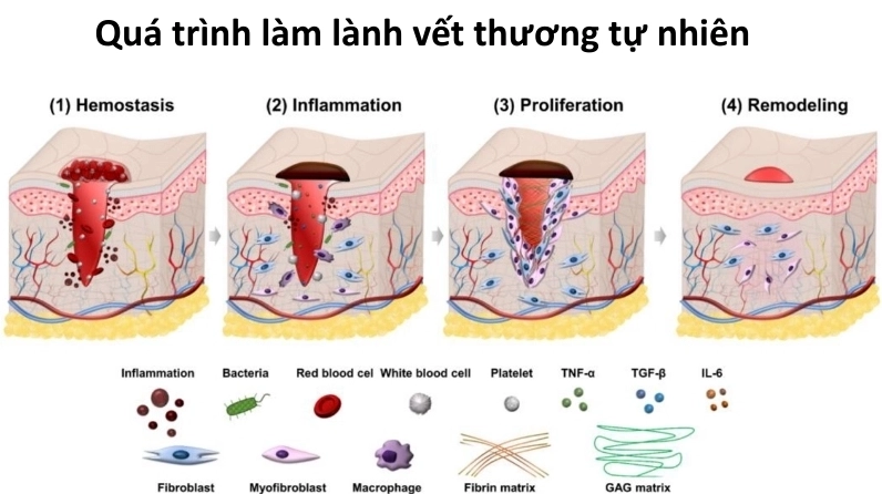 Nét suy tư trầm ngâm đầy cuốn hút của thiếu nữ nhẹ nhàng đeo kính