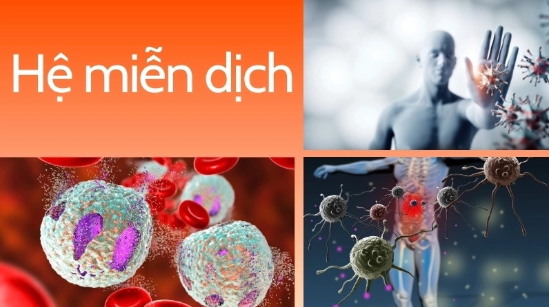 Phong thái nhẹ nhàng thanh lịch của nữ nhân viên văn phòng xinh đẹp đeo kính