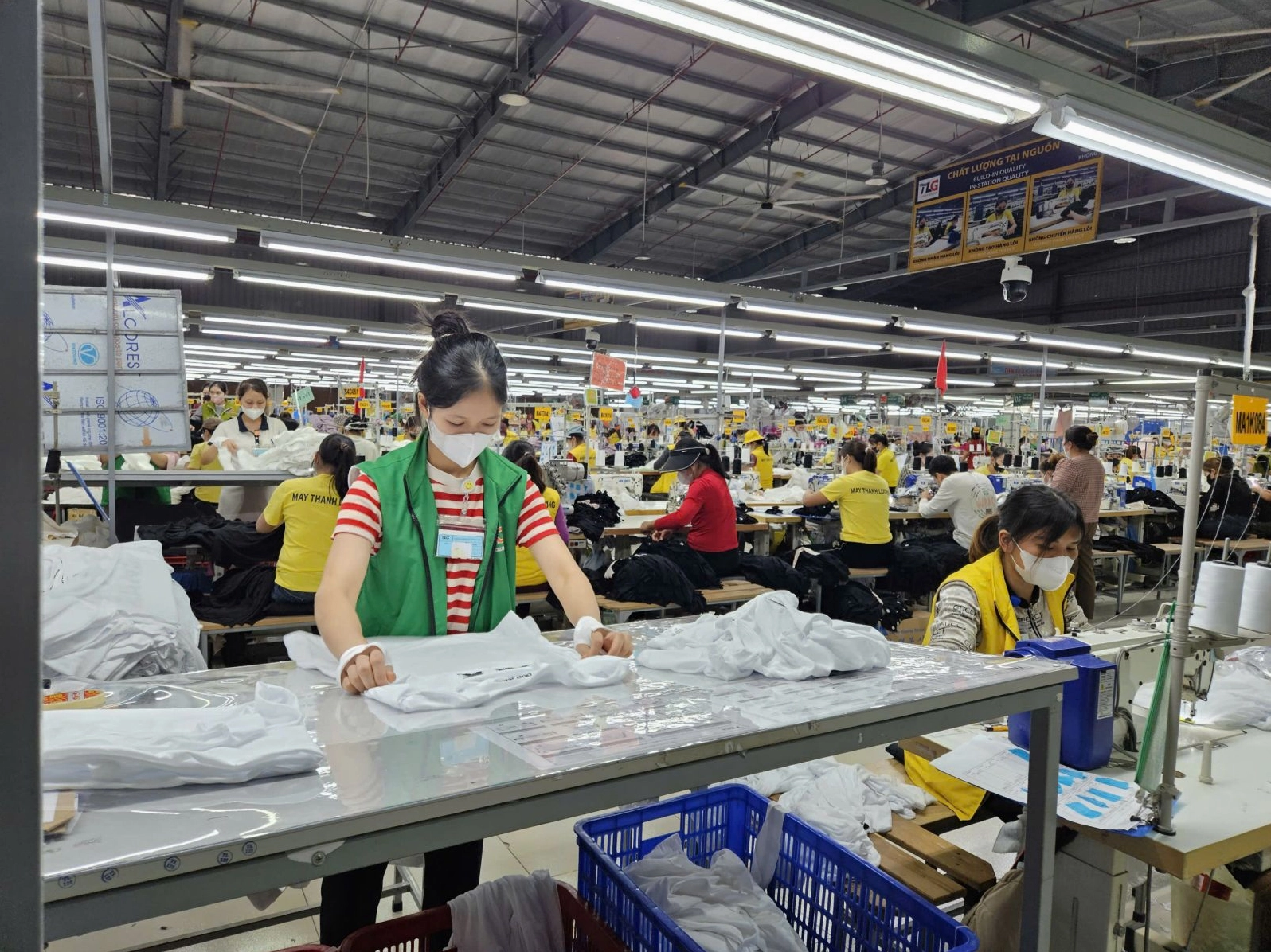 Sự giao thoa giữa ánh sáng nhân tạo và bóng râm tự nhiên